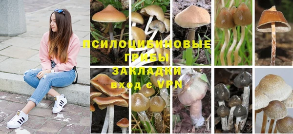 соль курить ск Абаза