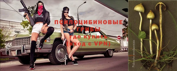 спиды Алексеевка
